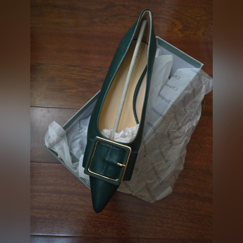 C.paravano Elegant Green Pumps with Buckle - Picture 2 of 8
